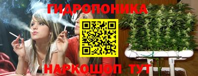 крисы Обнинск