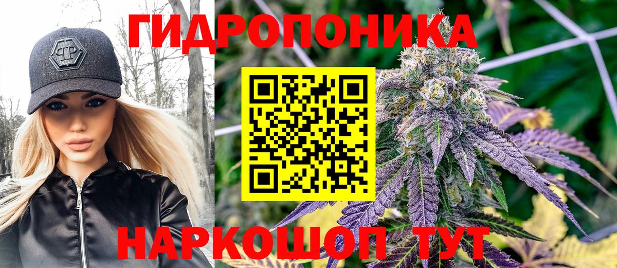 Марихуана Bruce Banner Урус-Мартан